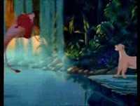 Rei Leão - Esta Noite O Amor Chegou