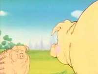 as aventuras do Bocas