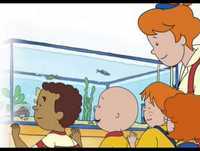 Ruca - Ruca O Mergulhador