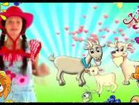 Xana Toc Toc e os Animais da Quinta