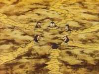 O Bocas - A invasão das toupeiras