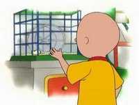 Ruca - O hamster do Luis