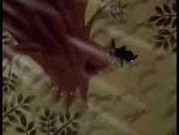 Tao Tao - Episodio 1 - Parte 1 de 3