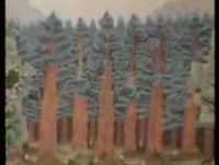 Tao Tao - Episódio 1 - Parte 2 de 3