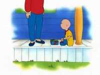 Ruca - Os passarinhos