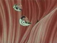 Era uma vez... O Corpo Humano: O Sistema Linfático (2 de 3)