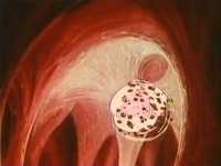 Era Uma Vez... O Corpo Humano - O Coração