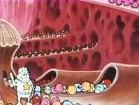 Era Uma Vez... O Corpo Humano - O Nascimento