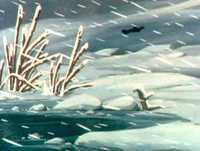 Bana e Flapi - Ep25  1/2