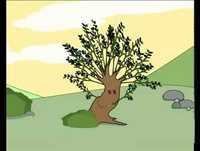 Músicas da Carochinha 3 [10] Ó rama, ó que linda rama!