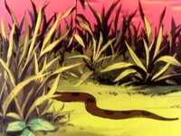 Bana e Flapi - Ep12  2/2 