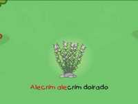 Músicas da Carochinha - 18 - Alecrim